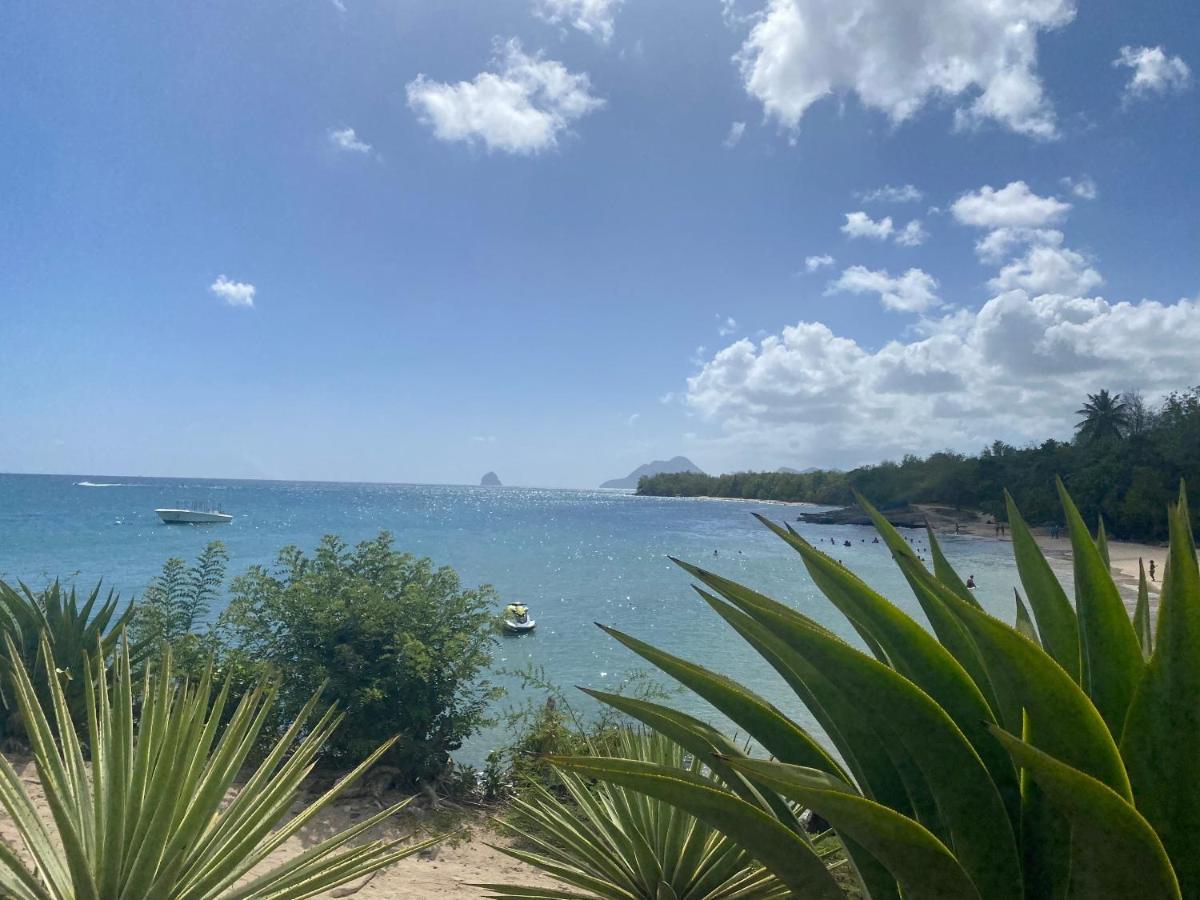 Studio Rdc La Desirade Martinique Acces Direct Plage Sainte-Luce Exterior photo
